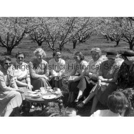 Cherry Blossom Queen Maureen Kelly at picnic