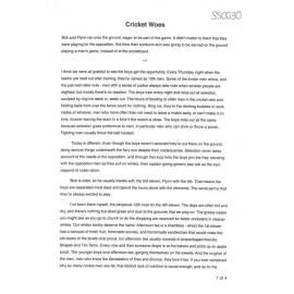 Cricket Woes - 2014 first prize short story category