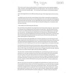Big Lizzie - 2014 second prize short story category