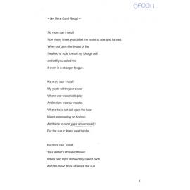 No More Can I Recall - 2015 second prize open poetry category