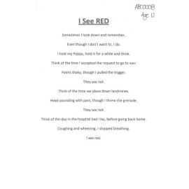 I See Red - 2016 second prize children's category