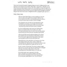 Willy Wally Gully - 2017 second prize bush poetry category