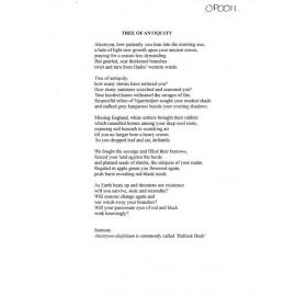 Tree of Antiquity - 2017 third prize open poetry category