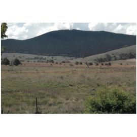 Mount Macquarie, Neville NSW