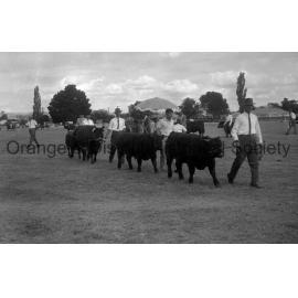 Blayney Show