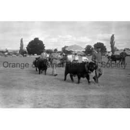 Blayney Show