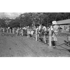Cumnock Show