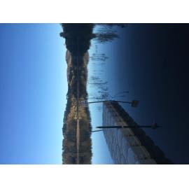 Lake Canobolas "No diving" sign (with water)