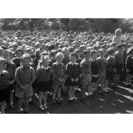 Anzac Day infants schools