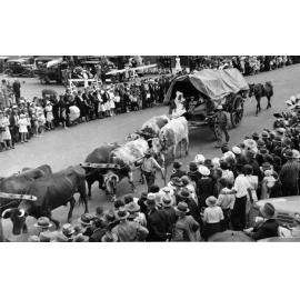 Australia's 150th Anniversary celebrations, Orange, NSW