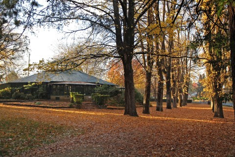 Ferney Cook Park, Orange