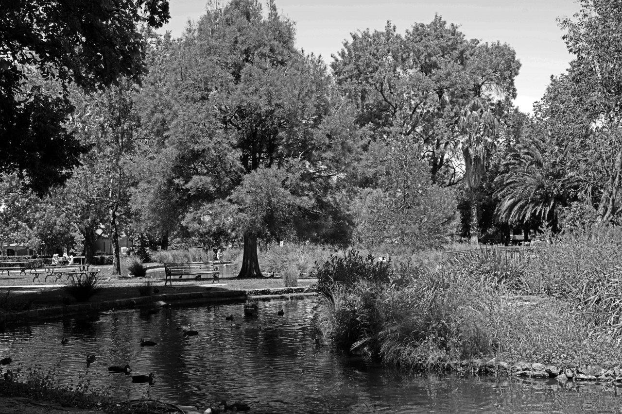 Duck Pond, Cook Park, Orange