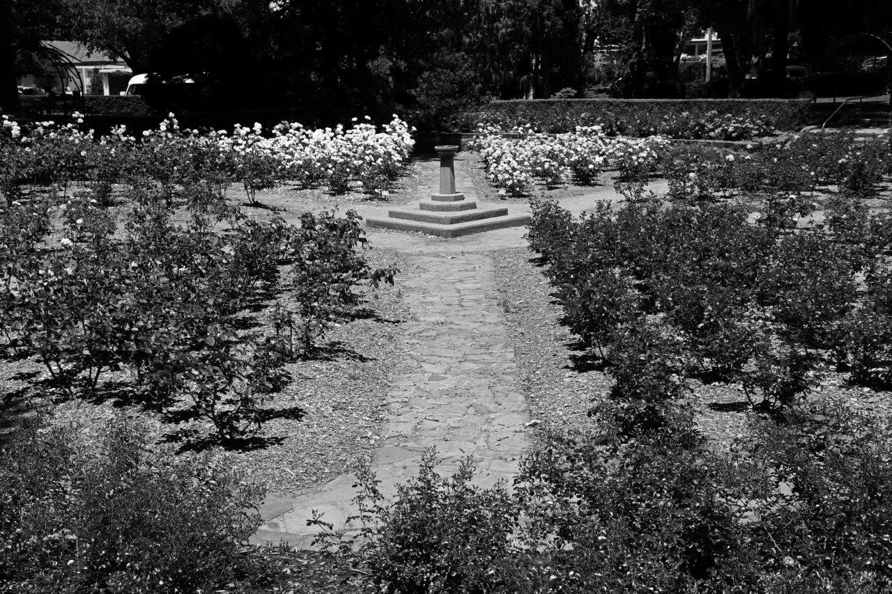 Frank Mulholland Memorial Garden, Cook Park, Orange