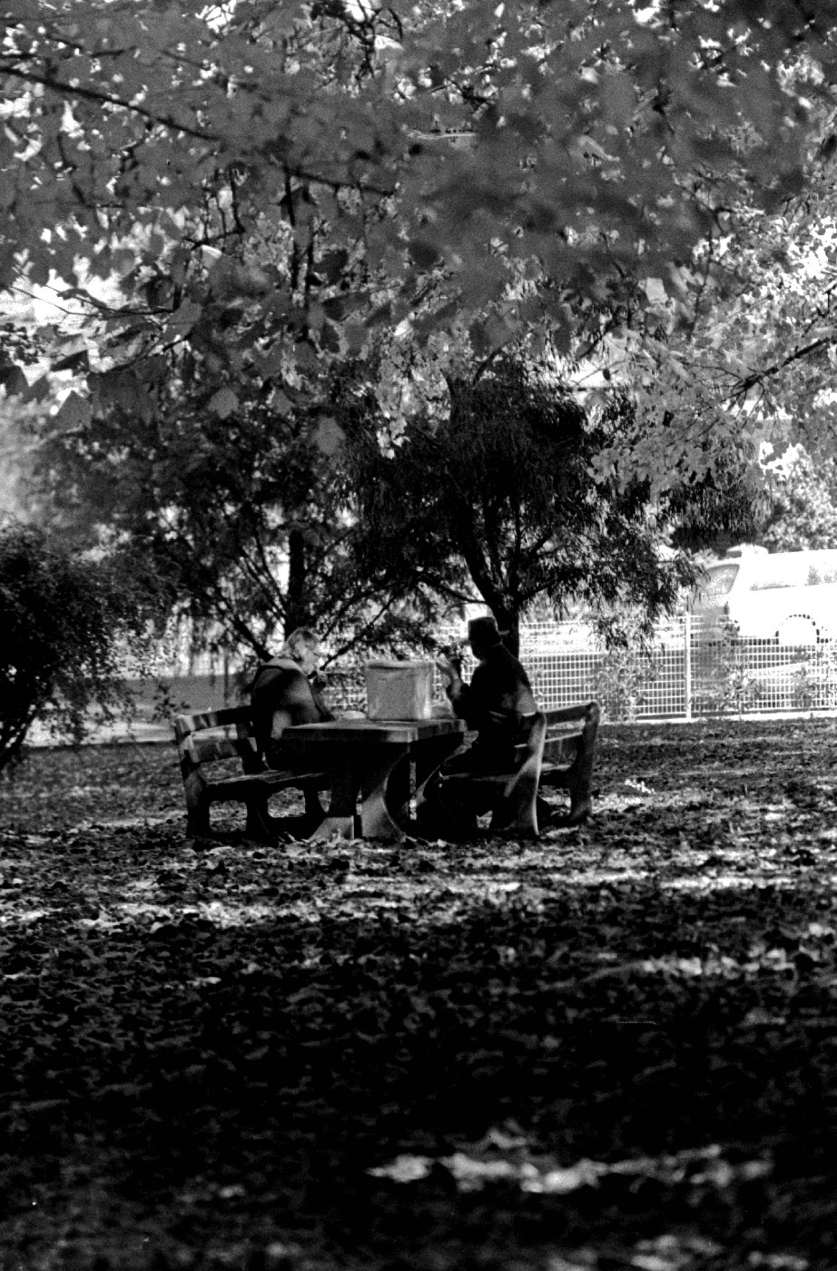 Picnic table, Cook Park, Orange