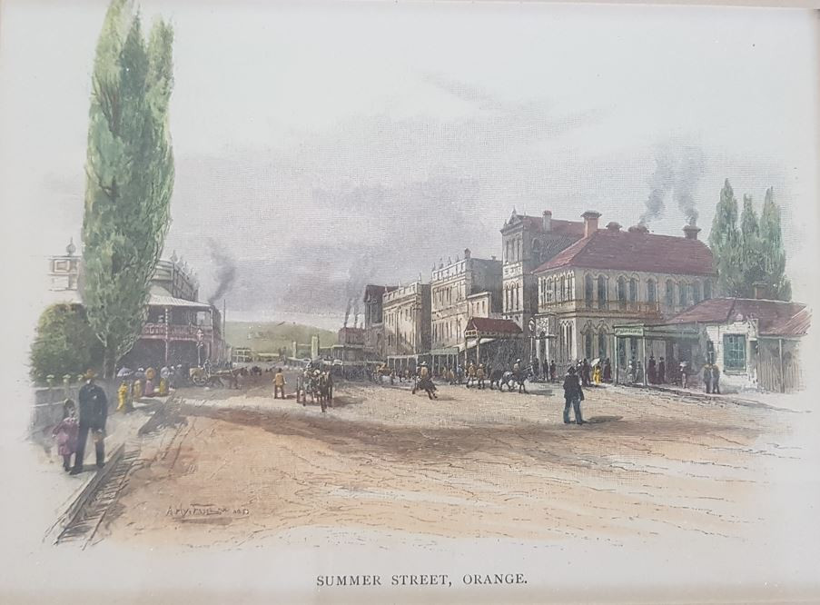 Summer Street, Orange 