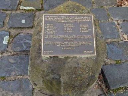 Newman Park WWI Memorial Avenue of trees inscription on monument