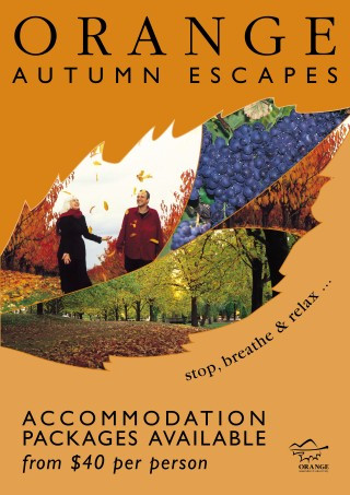 Orange Autumn Escapes